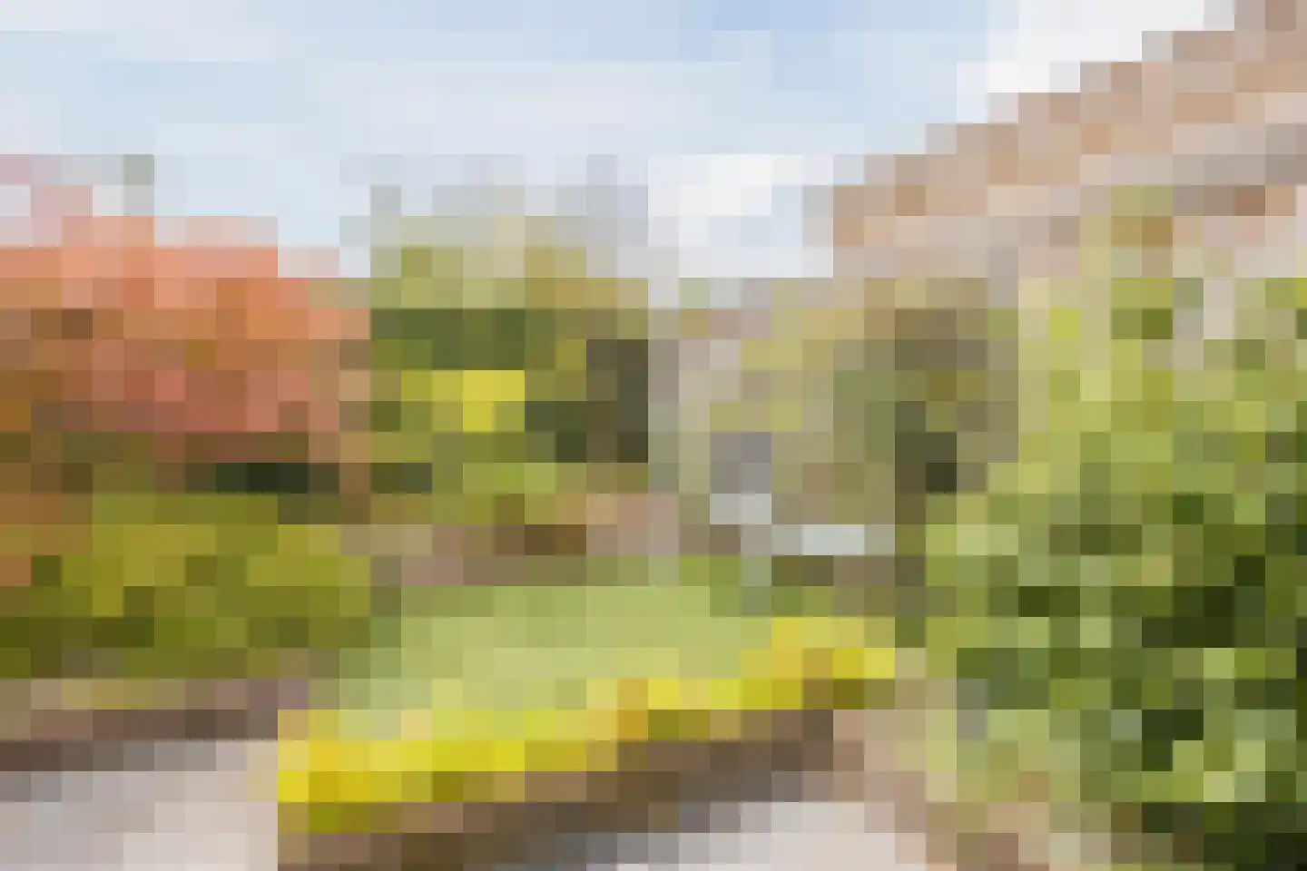 Fazantstraat 22 Delden thumbnail 58