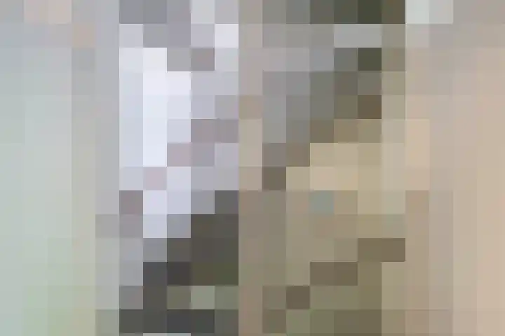 Fazantstraat 23 Lisse thumbnail 14