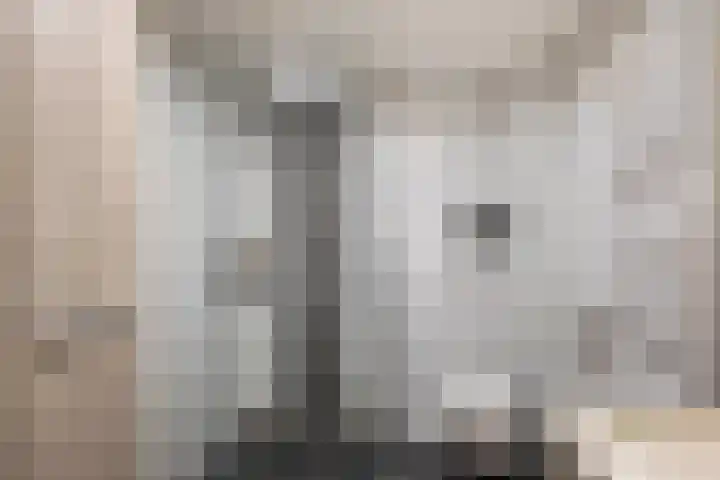 Fazantstraat 23 Lisse thumbnail 22