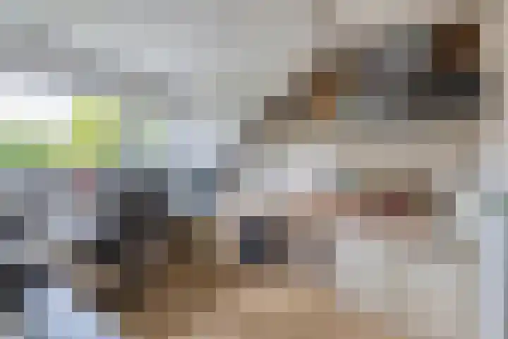 Fazantstraat 23 Lisse thumbnail 25