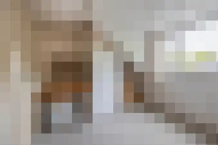 Fazantstraat 23 Lisse thumbnail 26