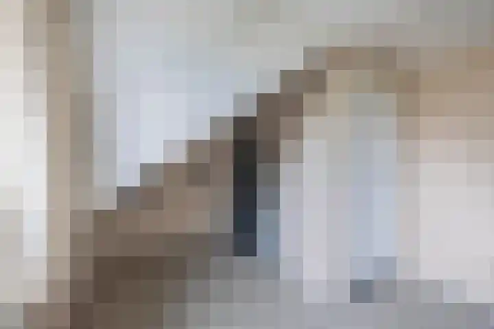 Fazantstraat 23 Lisse thumbnail 27