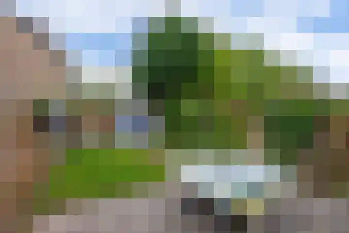Fazantstraat 23 Lisse thumbnail 29
