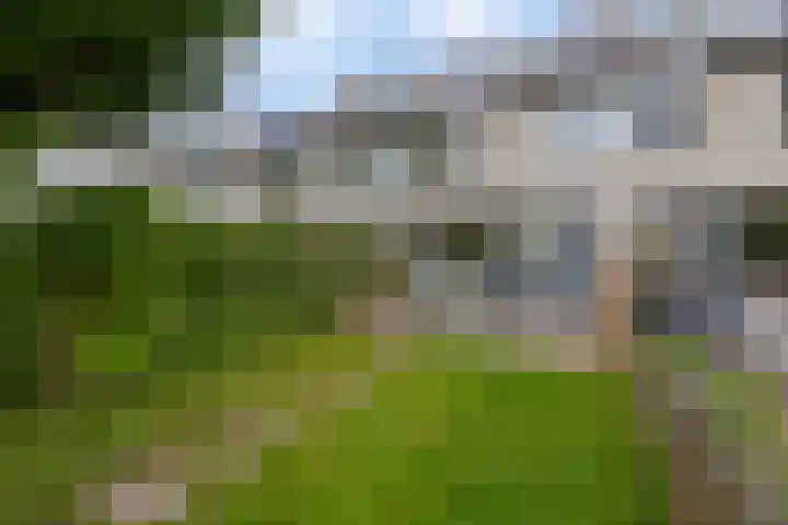 Fazantstraat 23 Lisse thumbnail 30