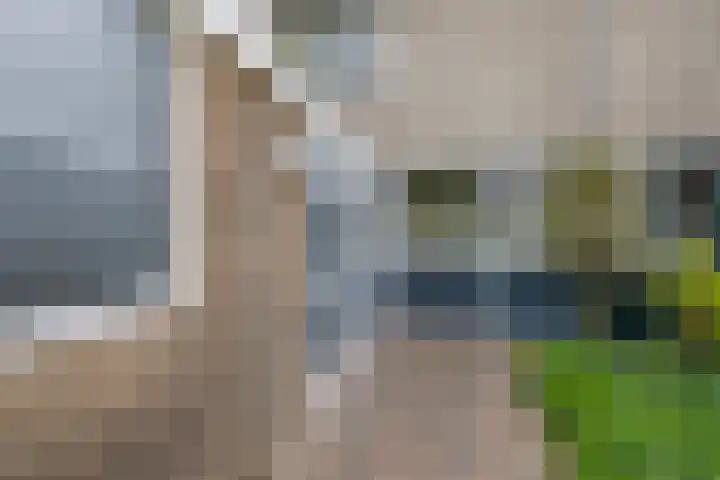 Fazantstraat 23 Lisse thumbnail 35