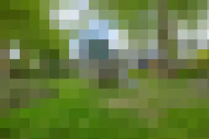 Fazantstraat 23 Lisse thumbnail 36