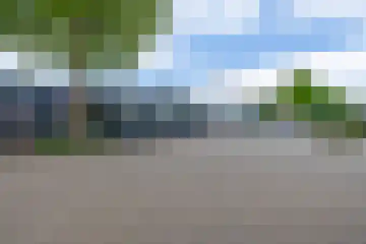 Fazantstraat 23 Lisse thumbnail 38