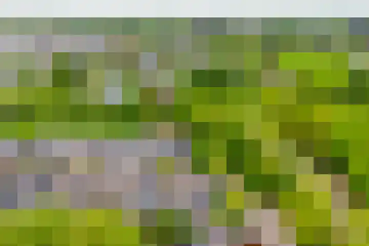 Fazantstraat 23 Lisse thumbnail 39