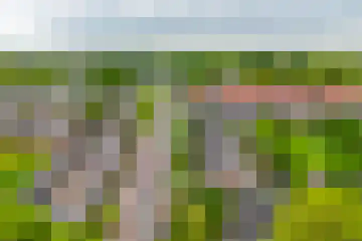 Fazantstraat 23 Lisse thumbnail 41