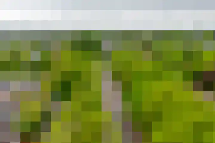 Fazantstraat 23 Lisse thumbnail 43