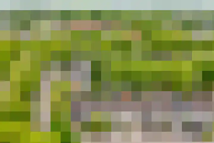 Fazantstraat 23 Lisse thumbnail 44