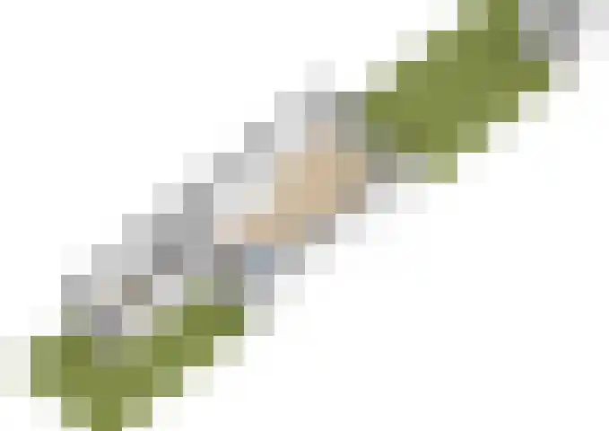 Fazantstraat 23 Lisse thumbnail 54