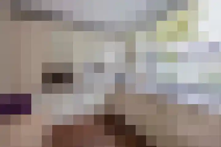 Fazantstraat 23 Lisse thumbnail 8