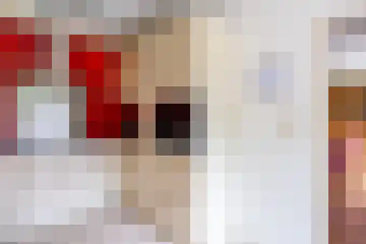 Fazantstraat 24 Bergen L thumbnail 18