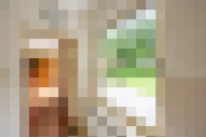 Fazantstraat 24 Bergen L thumbnail 20