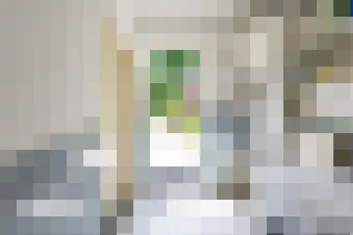 Fazantstraat 24 Bergen L thumbnail 22