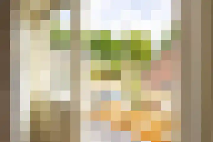 Fazantstraat 24 Bergen L thumbnail 29