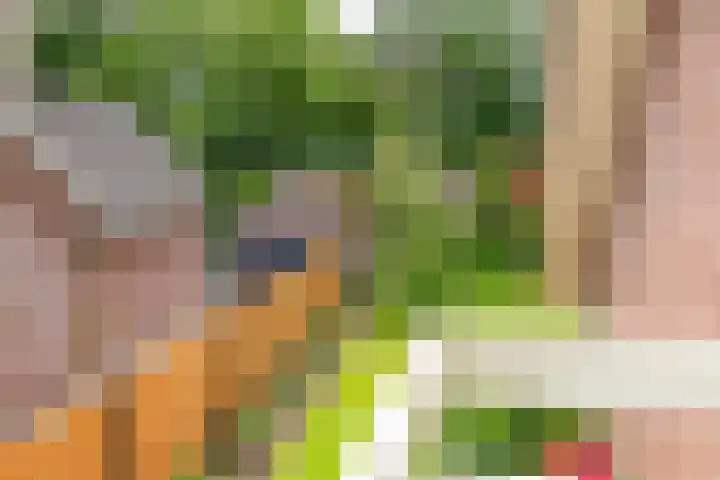 Fazantstraat 24 Bergen L thumbnail 30