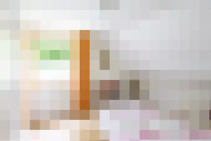 Fazantstraat 24 Bergen L thumbnail 35