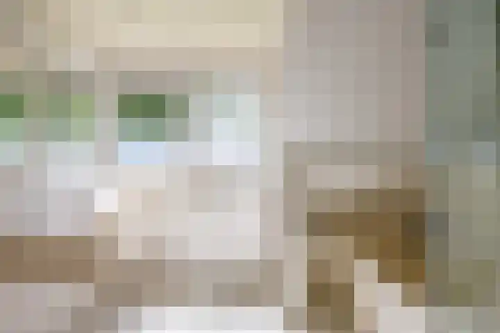 Fazantstraat 24 Bergen L thumbnail 37
