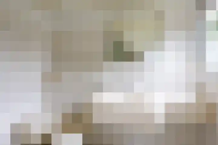 Fazantstraat 24 Bergen L thumbnail 39