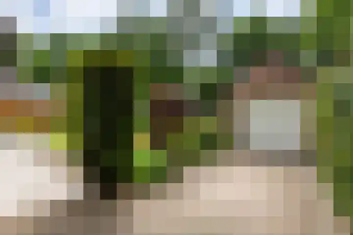 Fazantstraat 24 Bergen L thumbnail 41