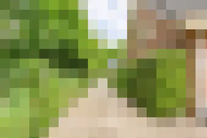 Fazantstraat 24 Bergen L thumbnail 42
