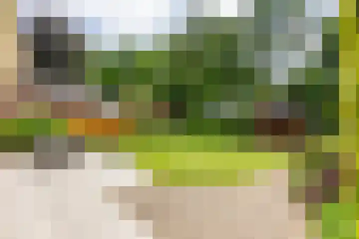 Fazantstraat 24 Bergen L thumbnail 43