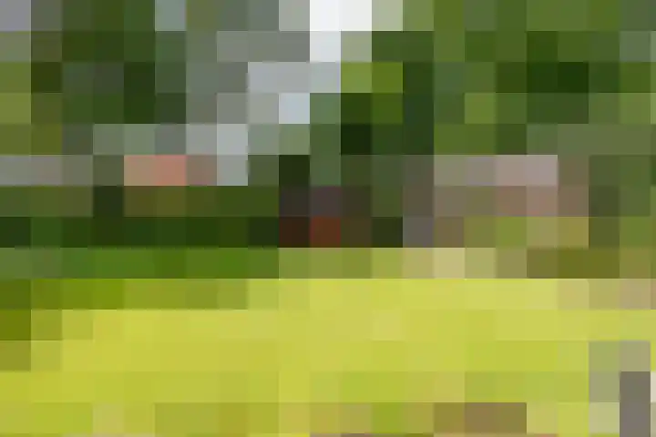 Fazantstraat 24 Bergen L thumbnail 45