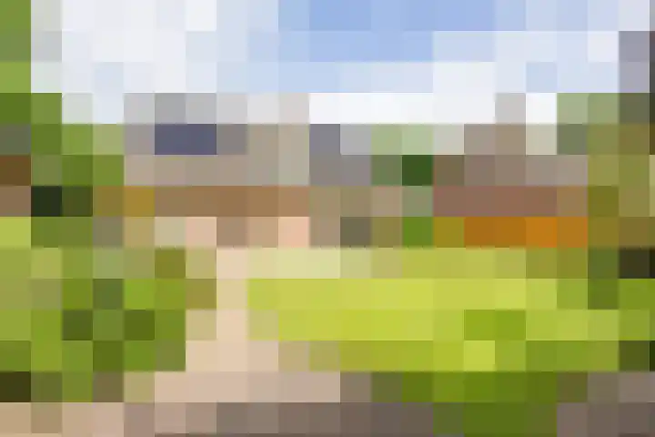 Fazantstraat 24 Bergen L thumbnail 46