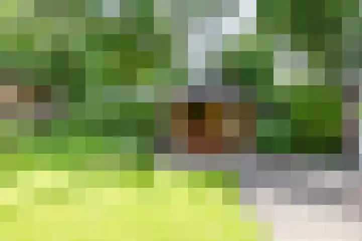 Fazantstraat 24 Bergen L thumbnail 47