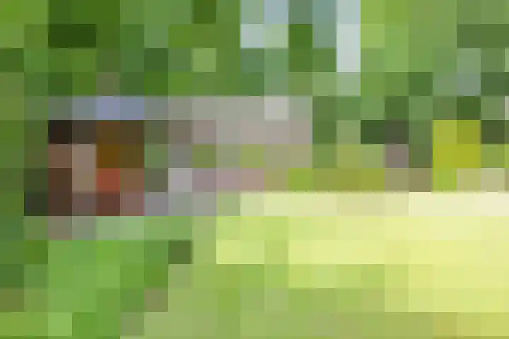 Fazantstraat 24 Bergen L thumbnail 48