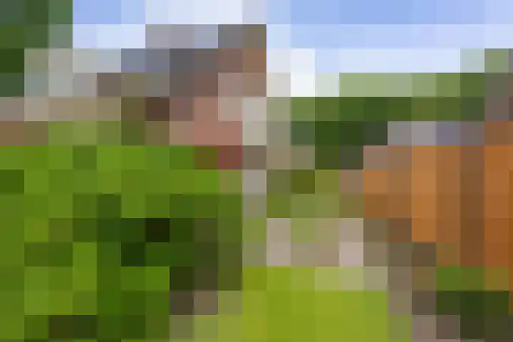 Fazantstraat 24 Bergen L thumbnail 49