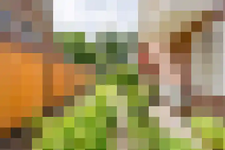 Fazantstraat 24 Bergen L thumbnail 50