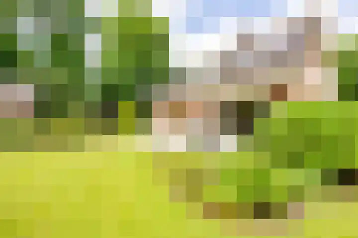 Fazantstraat 24 Bergen L thumbnail 52