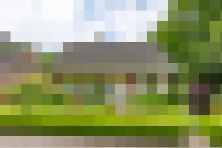 Fazantstraat 24 Bergen L thumbnail 54