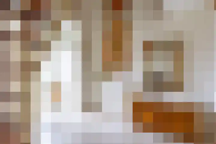 Fazantstraat 24 Bergen L thumbnail 6