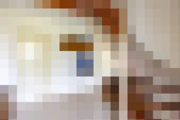 Fazantstraat 24 Bergen L thumbnail 7