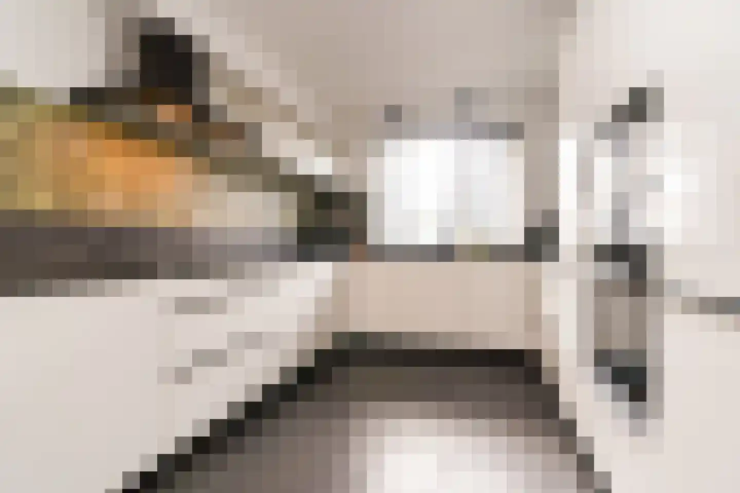 Fazantstraat 24 Lekkerkerk thumbnail 18