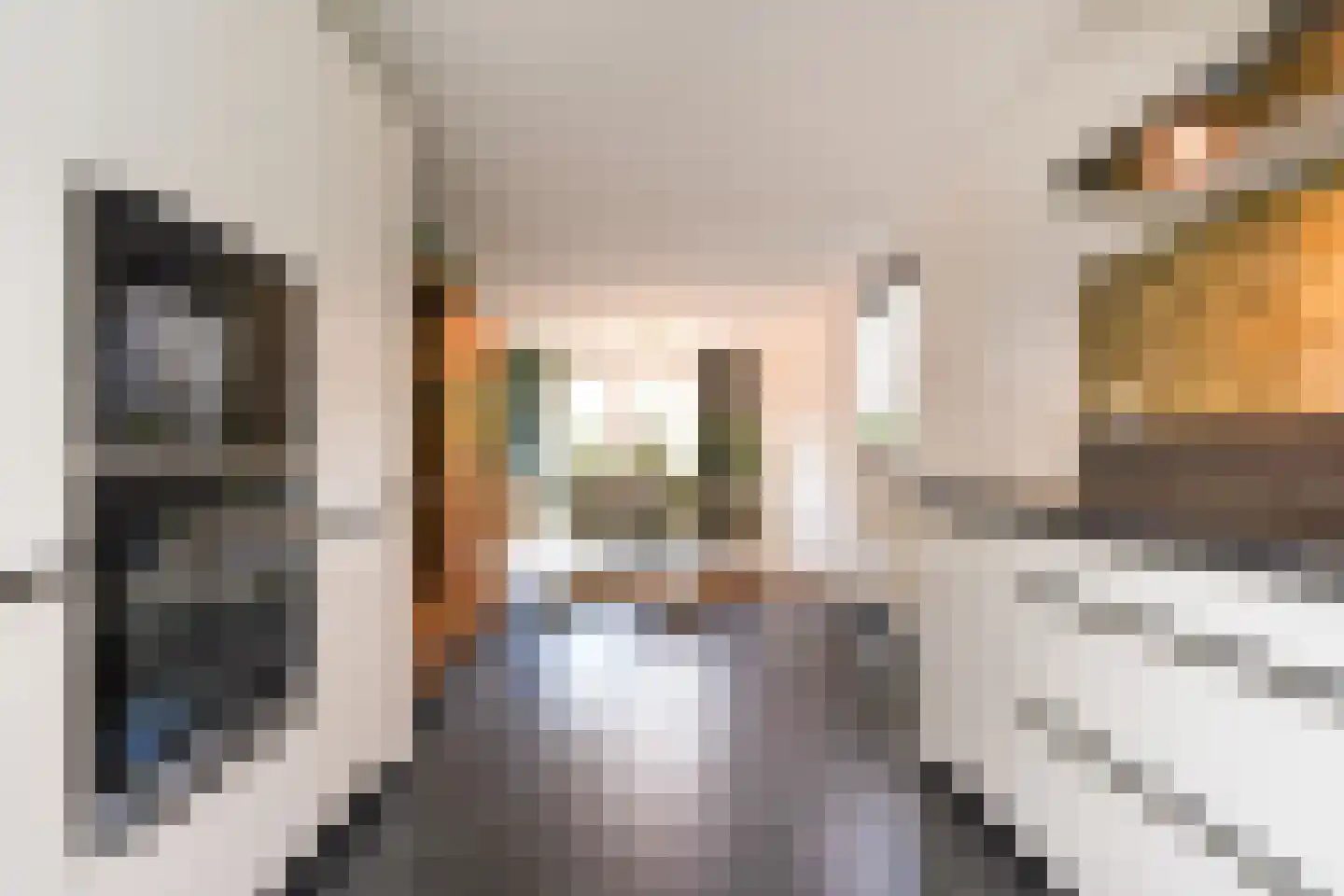 Fazantstraat 24 Lekkerkerk thumbnail 22