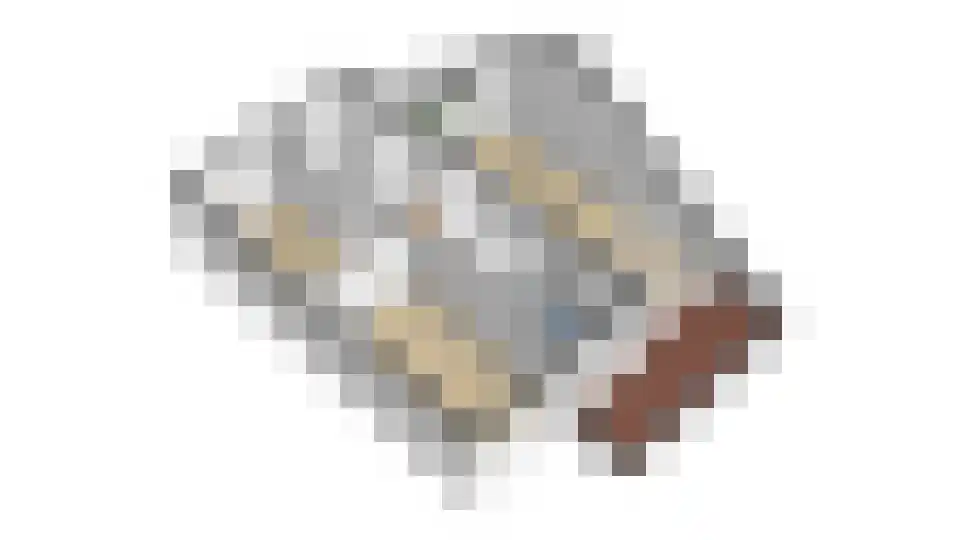 Fazantstraat 24 Lekkerkerk thumbnail 54