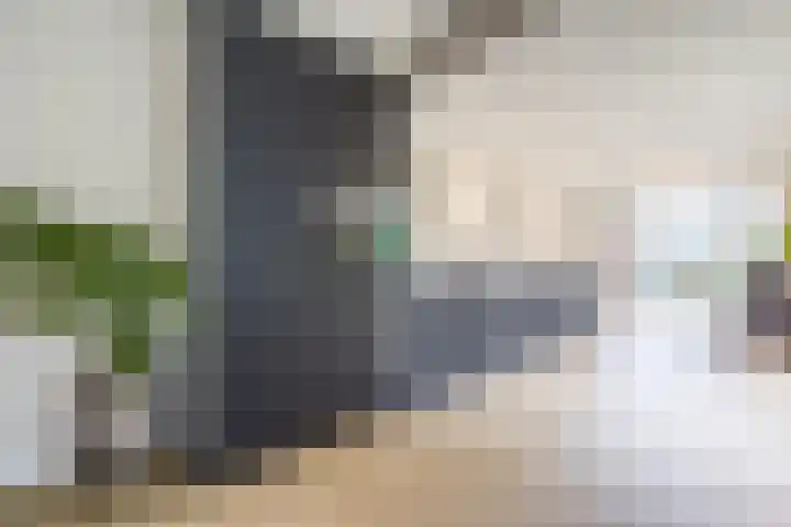 Fazantstraat 25 Beneden-Leeuwen thumbnail 11