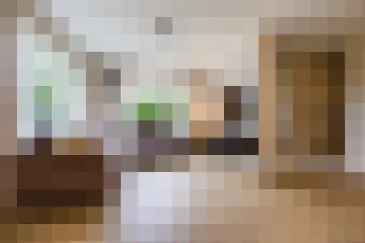 Fazantstraat 25 Beneden-Leeuwen thumbnail 13