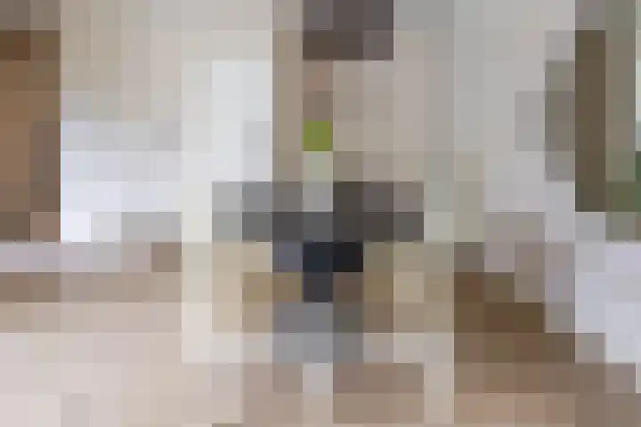 Fazantstraat 25 Beneden-Leeuwen thumbnail 15