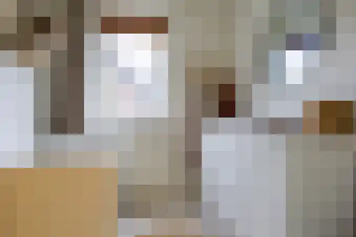 Fazantstraat 25 Beneden-Leeuwen thumbnail 23