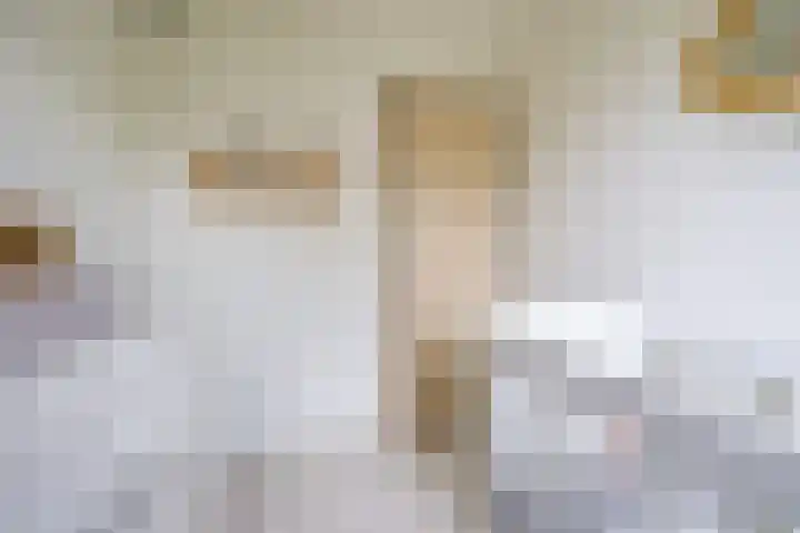 Fazantstraat 25 Beneden-Leeuwen thumbnail 24