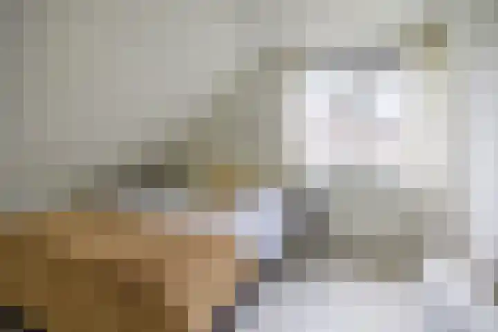 Fazantstraat 25 Beneden-Leeuwen thumbnail 26
