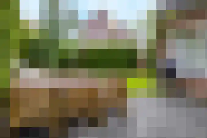 Fazantstraat 25 Beneden-Leeuwen thumbnail 33