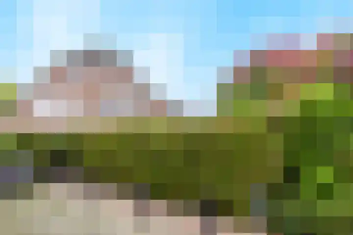 Fazantstraat 25 Beneden-Leeuwen thumbnail 37