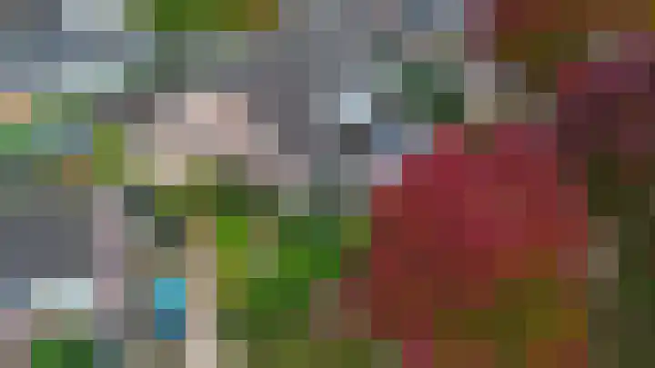 Fazantstraat 25 Beneden-Leeuwen thumbnail 4